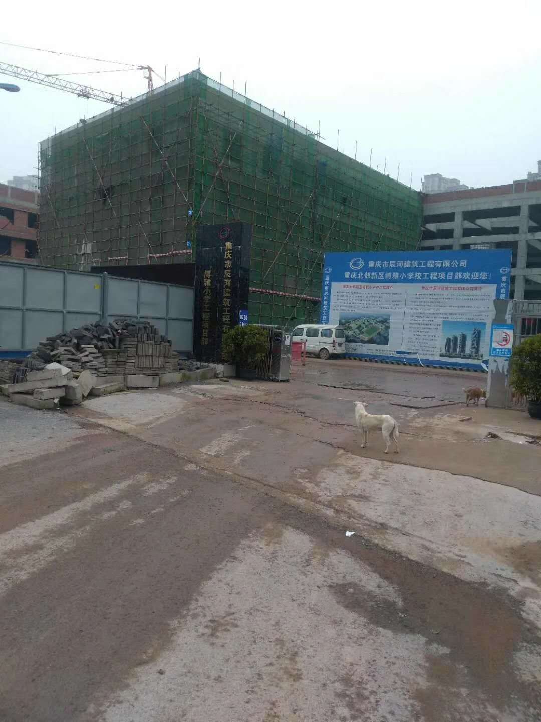 重慶博雅小學